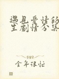 遇见爱情的利先生剧情分集介绍