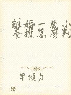 离婚一岁小孩抚养权怎么判