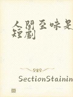 人间至味是清欢短剧