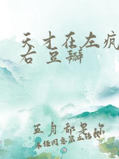 天才在左疯子在右 豆瓣