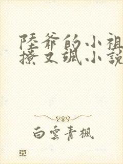 陆爷的小祖宗又撩又飒小说无弹窗