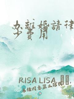 办离婚请律师多少费用