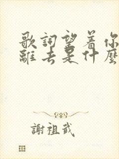 歌词望着你孤单离去是什么歌