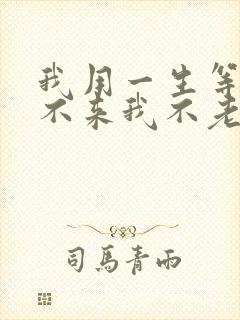 我用一生等你你不来我不老