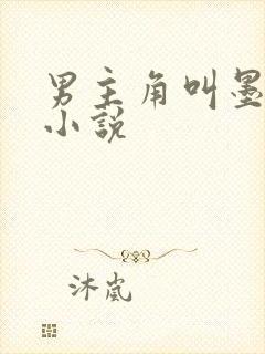 男主角叫墨尘的小说