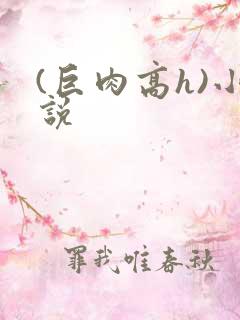 (巨肉高h)小说
