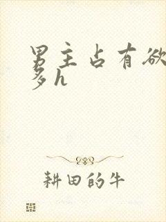 男主占有欲强肉多h