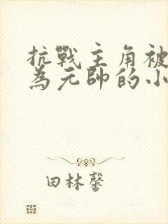 抗战主角被授衔为元帅的小说