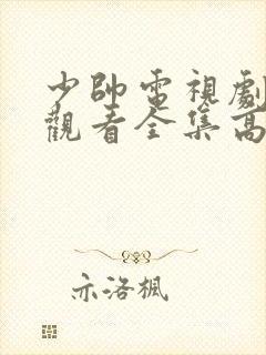 少帅电视剧免费观看全集高清