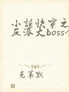 小说快穿之杠上反派大boss全文免费阅读