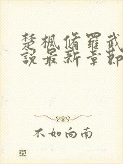 楚枫修罗武神小说最新章节