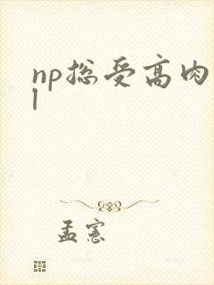 np总受高肉bl