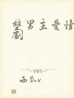 双男主爱情电视剧