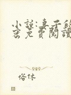 小说:妻子的秘密免费阅读