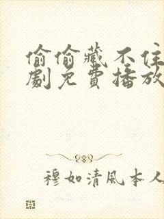 偷偷藏不住电视剧免费播放在线高清