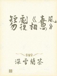 短剧《春风不言勿复相思》结局