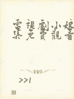 电视剧小娘惹全集免费观看