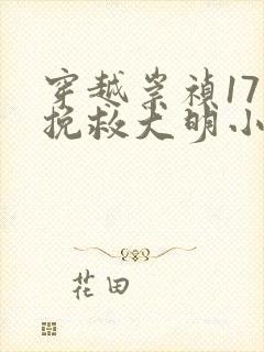 穿越崇祯17年挽救大明小说