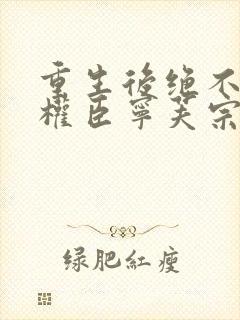 重生后绝不嫁给权臣宁芙宗肆