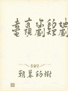 去有你的地方2电视剧短剧免费观看