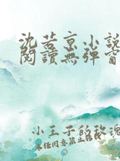 沈若京小说免费阅读无弹窗