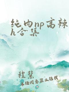 纯肉np高辣文h合集