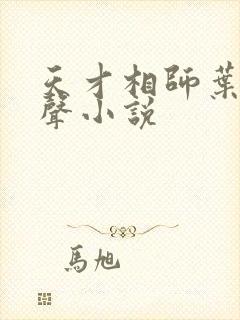 天才相师叶天有声小说