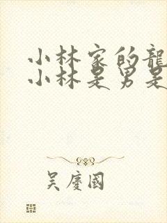 小林家的龙女仆小林是男是女