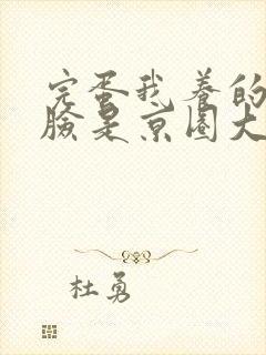 完蛋我养的小白脸是京圈大佬短剧全集