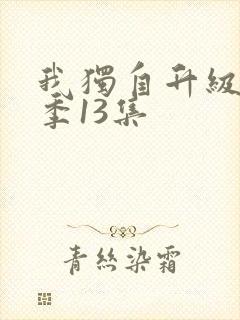 我独自升级第二季13集