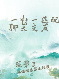 一对一匹配语音聊天交友