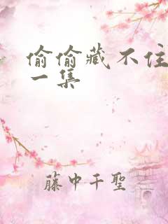 偷偷藏不住最后一集