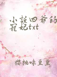 小说四爷的心尖宠妃txt
