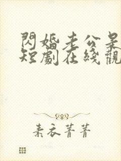 闪婚老公是总裁短剧在线观看