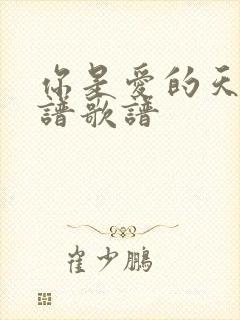 你是爱的天堂简谱歌谱