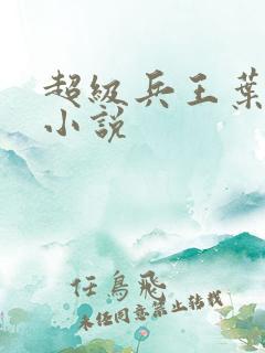 超级兵王叶谦 小说