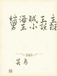 综海贼王主受双男主小说推荐