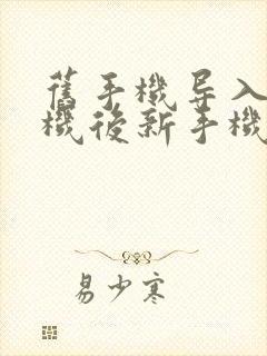 旧手机导入新手机后新手机的数据怎么没有了