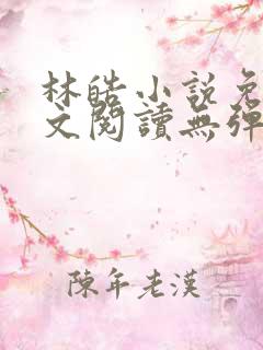 林皓小说免费全文阅读无弹窗