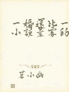 一婚还比一婚高小说晨雾的光