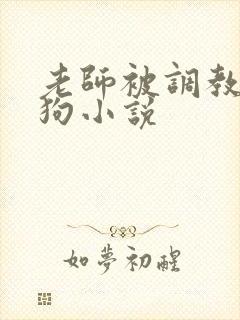老师被调教成母狗小说