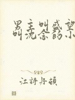 男主叫盛望女主叫沈念的小说