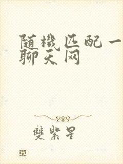 随机匹配一对一聊天网