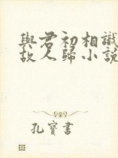 与君初相识犹似故人归小说