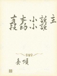 有本小说主角姓段的小说