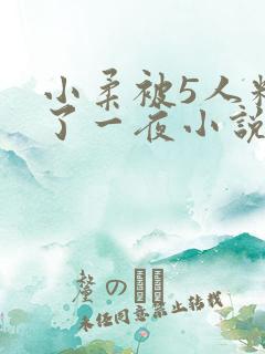 小柔被5人糟蹋了一夜小说
