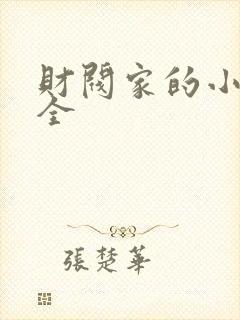 财阀家的小儿子全