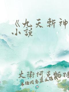 《九天斩神诀》小说