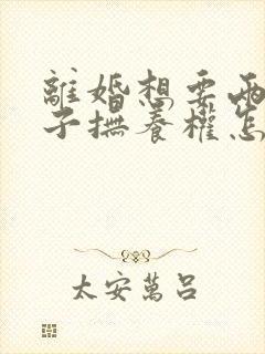 离婚想要两个孩子抚养权怎么办