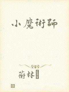 小魔术师